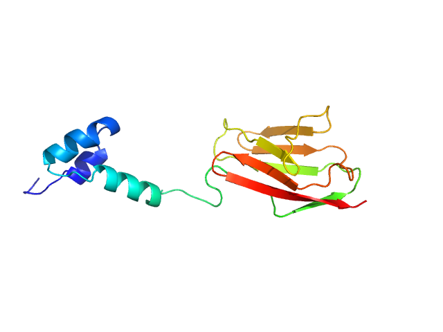 cardiac myosin binding protein C: tri-helix bundle-C2 MULTIFOXS model