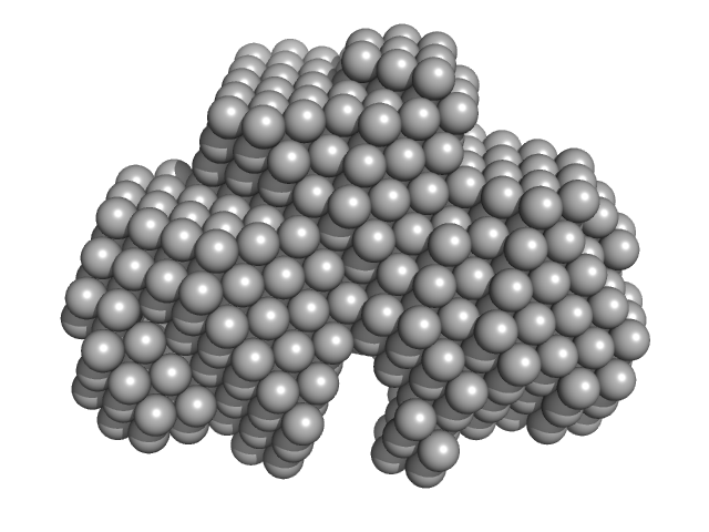 Calbindin DAMMIF model