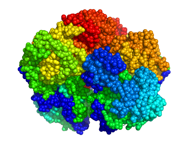 Sinorhizobium meliloti (SmPutA) MES-FOXS model