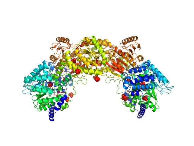 Bifunctional protein PutA PDB (PROTEIN DATA BANK) model