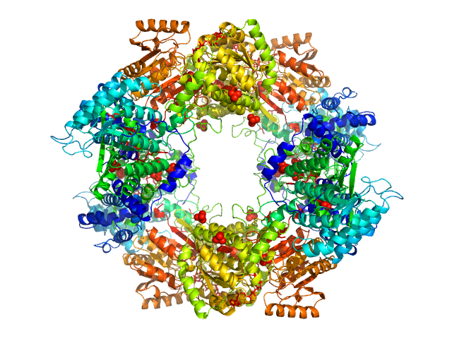 Bifunctional protein PutA PDB (PROTEIN DATA BANK) model