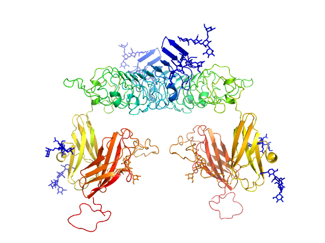 Leucine-rich repeat and fibronectin type-III domain-containing protein 4 EOM/RANCH model