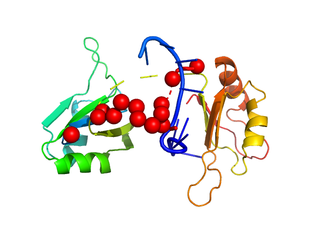 Protein sex-lethal mutant RNA decaneucleotide U8GU EOM/RANCH model