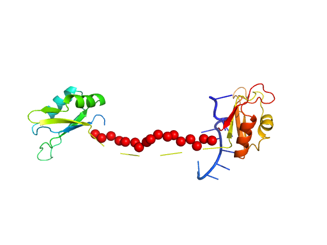 Protein sex-lethal mutant RNA decaneucleotide U8GU EOM/RANCH model