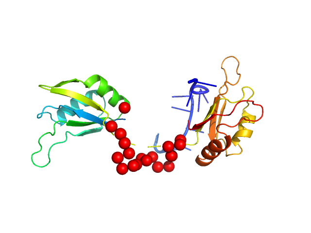 Protein sex-lethal mutant RNA decaneucleotide U8GU EOM/RANCH model