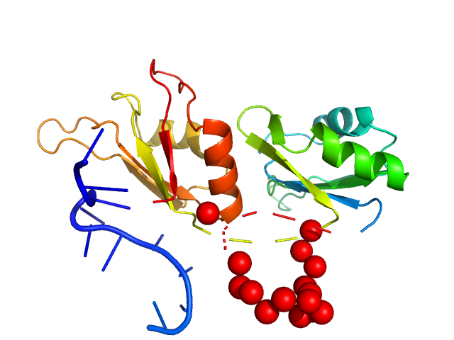 Protein sex-lethal mutant RNA decaneucleotide U8GU EOM/RANCH model