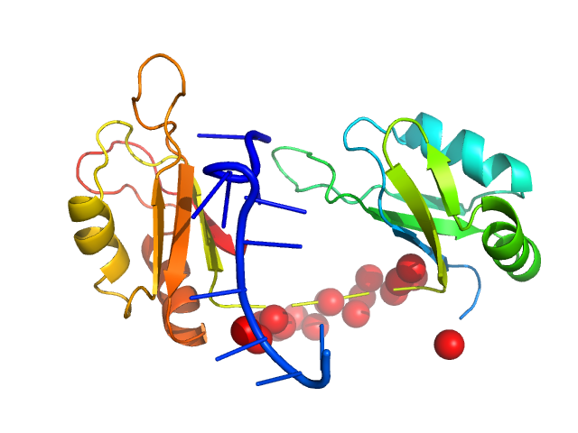 Protein sex-lethal mutant RNA decaneucleotide U8GU EOM/RANCH model