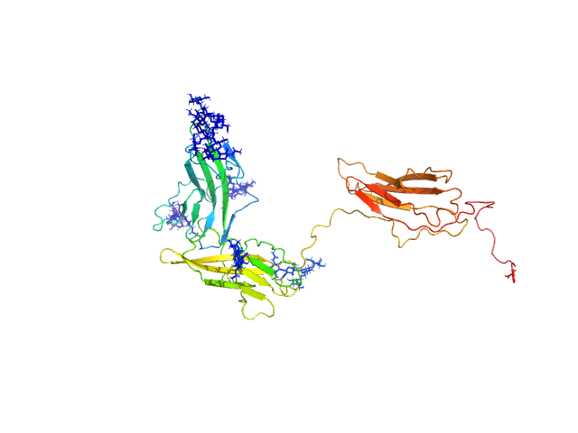 Interleukin-1 receptor accessory protein ectodomains with ST2 linker BILBOMD model