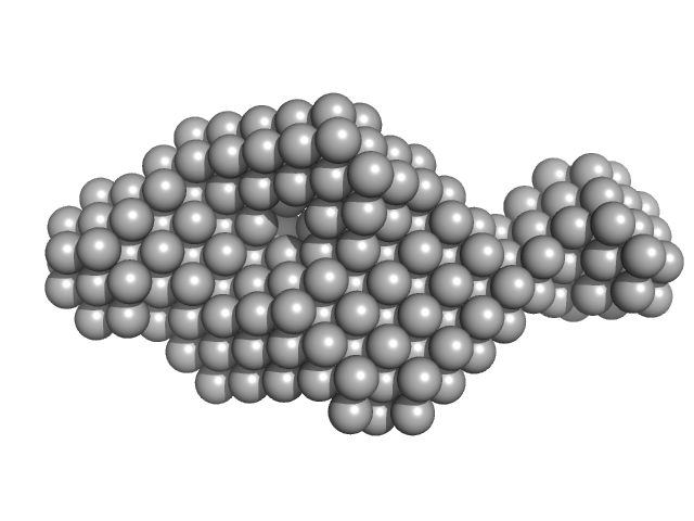 DNA primase DAMMIF model