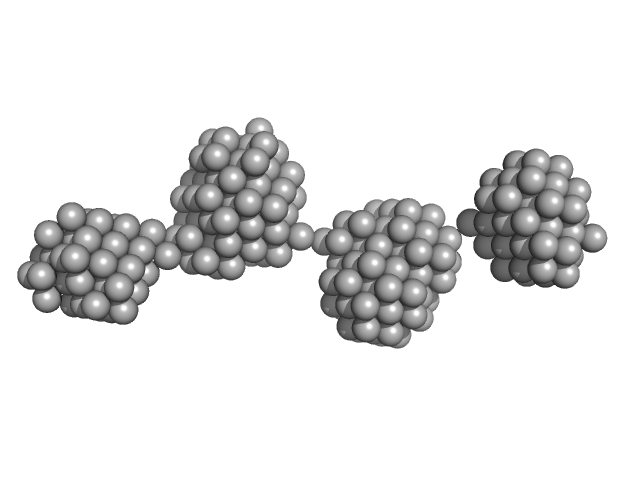 Epstein-Barr nuclear antigen 2 DAMMIF model