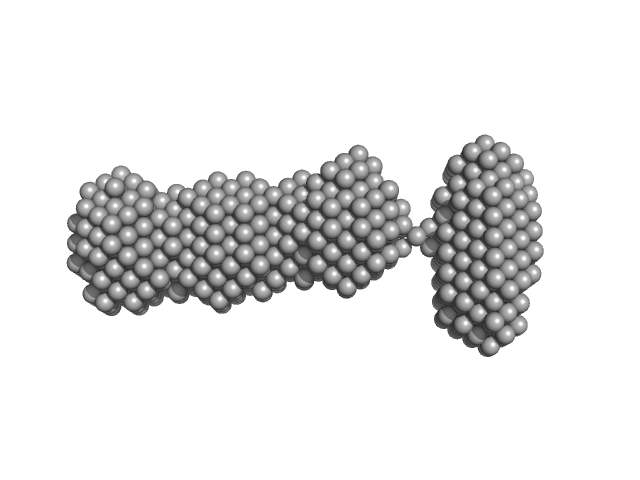 Epstein-Barr nuclear antigen 2 Zinc finger MYND domain-containing protein 11 DAMMIF model