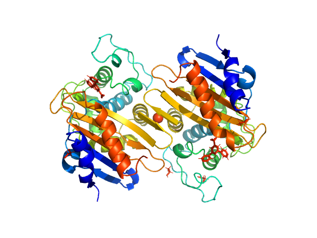 Beta-lactamase PDB (PROTEIN DATA BANK) model