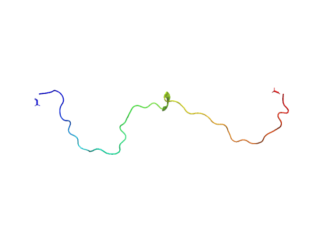 Inner nuclear membrane protein HEH2 OTHER model