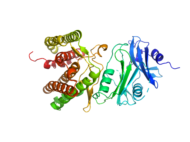 PDB (PROTEIN DATA BANK) model