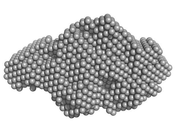 Insulin detemir (Levemir(R), Novo Nordisk A/S) Human Albumin (Recombumin(R) Alpha, Albumedix Ltd.) DAMMIF model