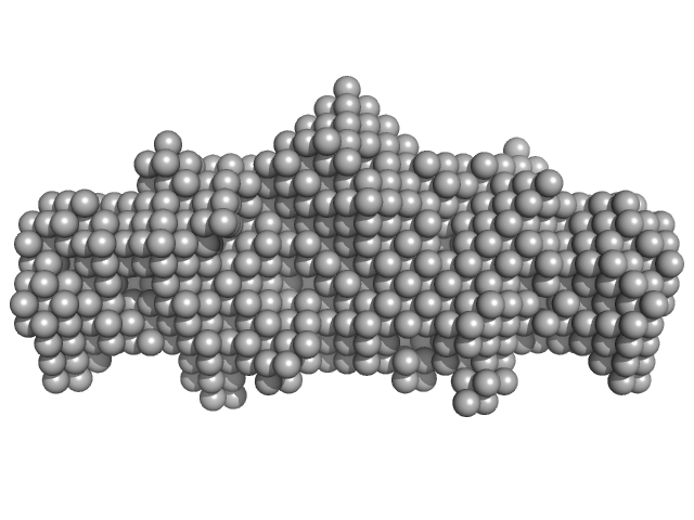 Human Albumin (Recombumin(R) Alpha, Albumedix Ltd.) Insulin detemir (Levemir(R), Novo Nordisk A/S) DAMMIN model