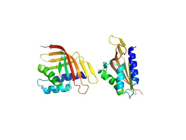 LIM domain-binding protein 1, L87E PDB (PROTEIN DATA BANK) model