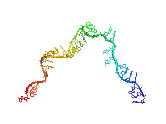 Poly-adenosine CUSTOM IN-HOUSE model