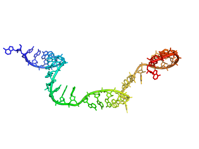 Poly-adenosine CUSTOM IN-HOUSE model