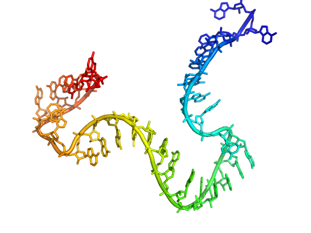 Poly-adenosine CUSTOM IN-HOUSE model