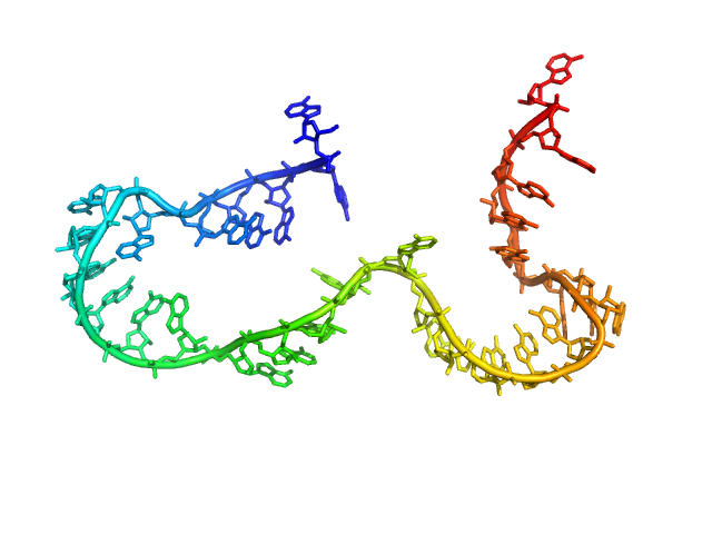 Poly-adenosine CUSTOM IN-HOUSE model