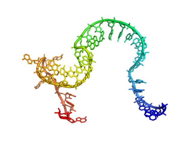 Poly-adenosine CUSTOM IN-HOUSE model