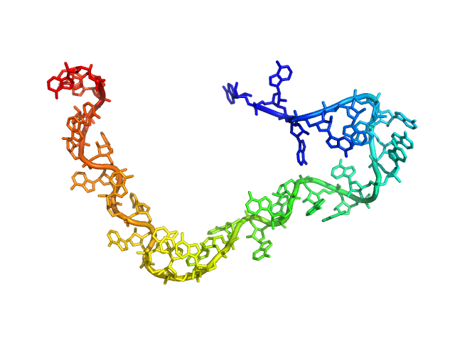 Poly-adenosine CUSTOM IN-HOUSE model