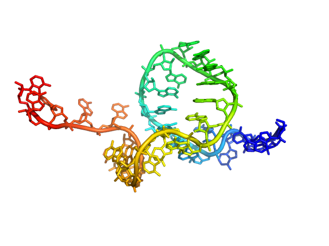 Poly-adenosine CUSTOM IN-HOUSE model