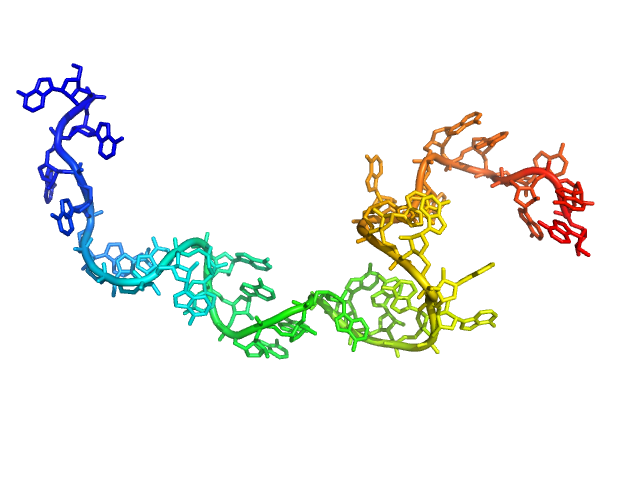 Poly-adenosine CUSTOM IN-HOUSE model