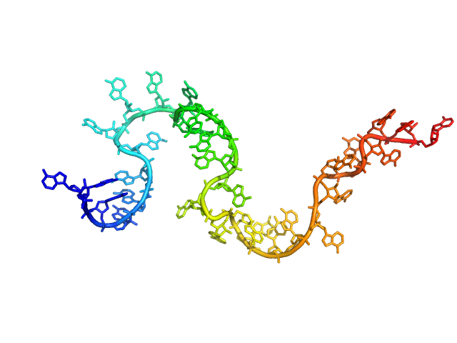 Poly-adenosine CUSTOM IN-HOUSE model