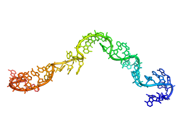 Poly-adenosine CUSTOM IN-HOUSE model