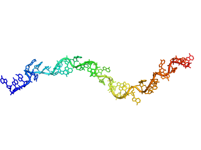 Poly-adenosine CUSTOM IN-HOUSE model