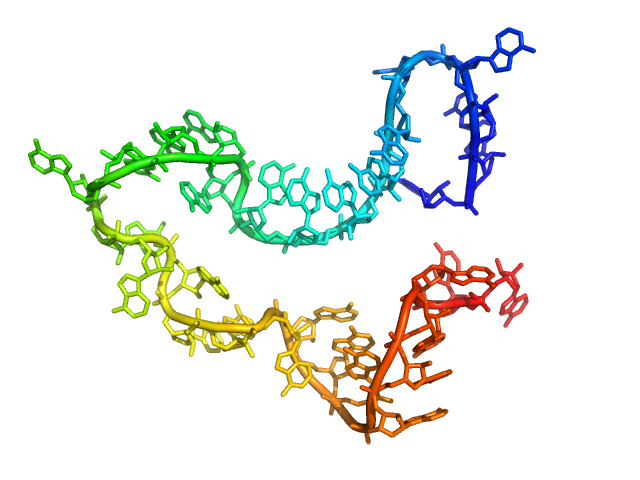 Poly-adenosine CUSTOM IN-HOUSE model