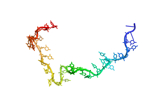 Poly-uridine CUSTOM IN-HOUSE model