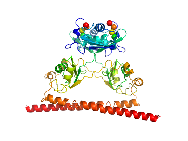 Splicing factor, proline- and glutamine-rich CORAL model