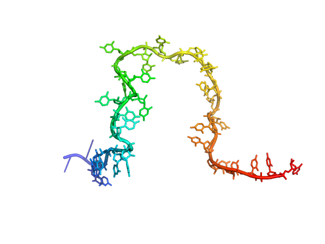 Poly-uridine CUSTOM IN-HOUSE model