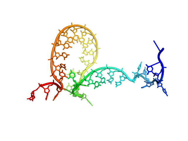 Poly-uridine CUSTOM IN-HOUSE model