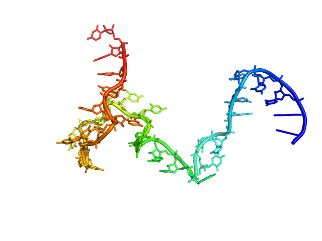 Poly-uridine CUSTOM IN-HOUSE model