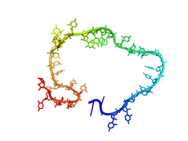 Poly-uridine CUSTOM IN-HOUSE model