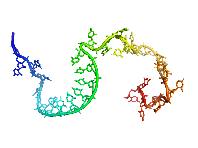 Poly-uridine CUSTOM IN-HOUSE model