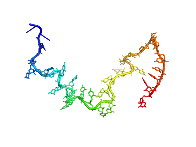 Poly-uridine CUSTOM IN-HOUSE model