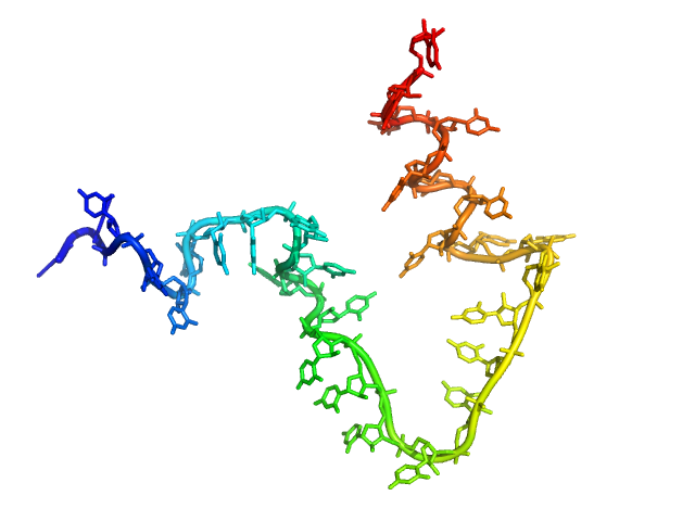 Poly-uridine CUSTOM IN-HOUSE model