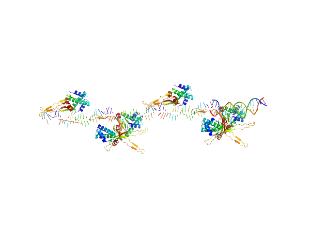 80bp_DNA Forward 80bp_DNA Reverse DNA-binding protein HU-alpha, E34K CHIMERA model