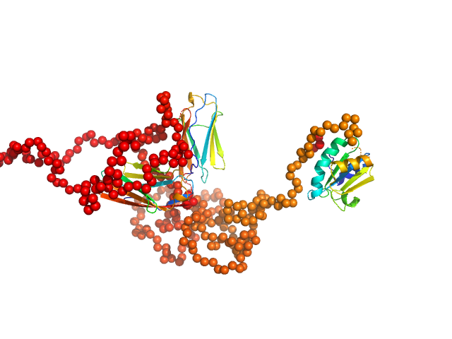 his-trx-myotilin EOM/RANCH model