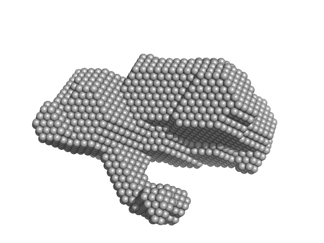 4-hydroxy-tetrahydrodipicolinate synthase (N84D mutant) DAMMIF model