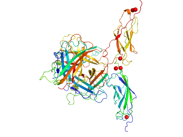 Human adenovirus serotype 3 fibre knob Human desmoglein 2 extracellular domain 2 and 3 OTHER model