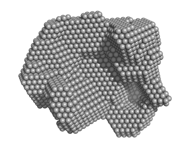 4-hydroxy-tetrahydrodipicolinate synthase (N84A mutant) DAMMIF model