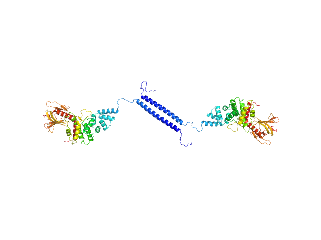 Cytohesin-3 MULTIFOXS model