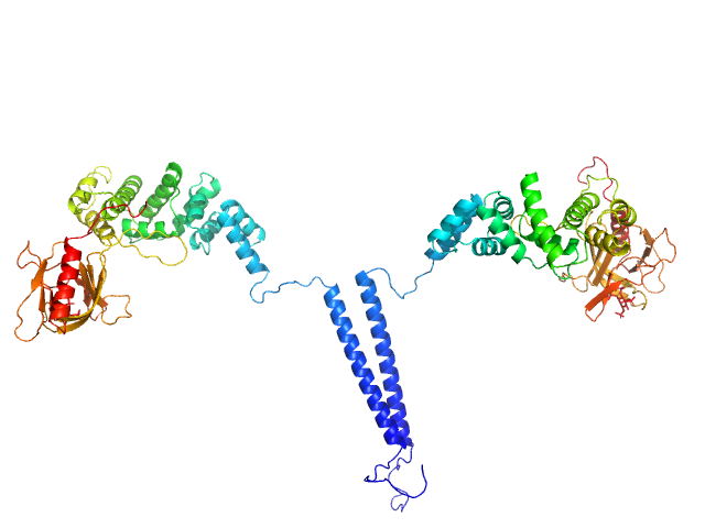 Cytohesin-3 MULTIFOXS model