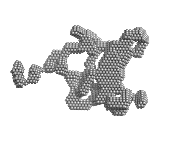 Nucleolar RNA helicase 2 fragment 186-710 DAMMIF model